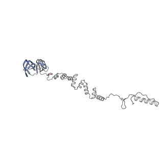 4677_6qyd_6p_v1-0
Cryo-EM structure of the head in mature bacteriophage phi29