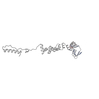 4677_6qyd_6u_v1-0
Cryo-EM structure of the head in mature bacteriophage phi29