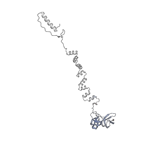 4677_6qyd_6w_v1-0
Cryo-EM structure of the head in mature bacteriophage phi29