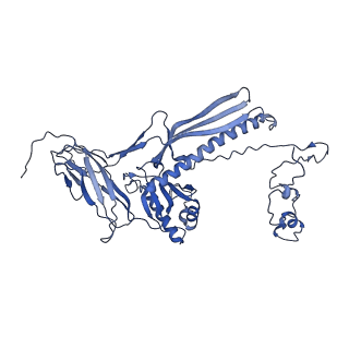 4677_6qyd_7G_v1-0
Cryo-EM structure of the head in mature bacteriophage phi29