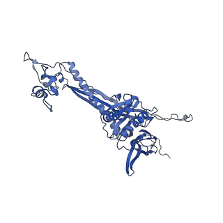 4677_6qyd_7I_v1-0
Cryo-EM structure of the head in mature bacteriophage phi29