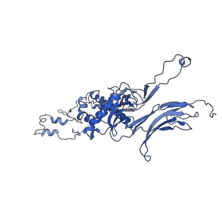 4677_6qyd_7J_v1-0
Cryo-EM structure of the head in mature bacteriophage phi29