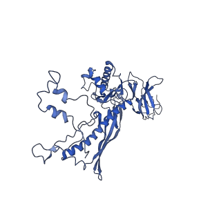 4677_6qyd_7R_v1-0
Cryo-EM structure of the head in mature bacteriophage phi29