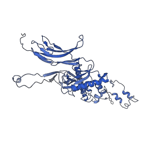 4677_6qyd_7T_v1-0
Cryo-EM structure of the head in mature bacteriophage phi29