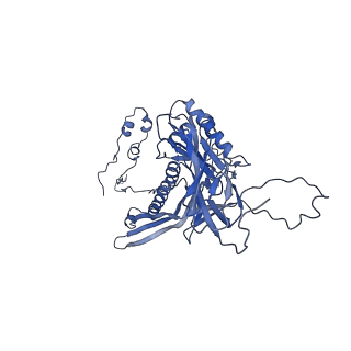 4677_6qyd_7U_v1-0
Cryo-EM structure of the head in mature bacteriophage phi29