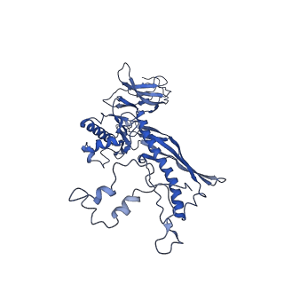 4677_6qyd_7W_v1-0
Cryo-EM structure of the head in mature bacteriophage phi29