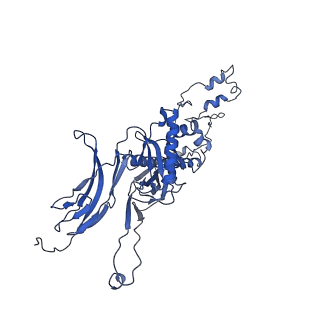 4677_6qyd_7Y_v1-0
Cryo-EM structure of the head in mature bacteriophage phi29