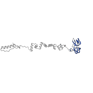 4677_6qyd_7Z_v1-0
Cryo-EM structure of the head in mature bacteriophage phi29