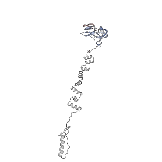 4677_6qyd_7e_v1-0
Cryo-EM structure of the head in mature bacteriophage phi29