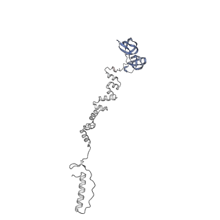 4677_6qyd_7f_v1-0
Cryo-EM structure of the head in mature bacteriophage phi29