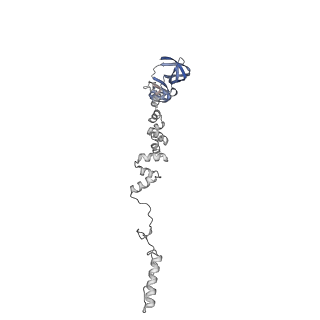 4677_6qyd_7h_v1-0
Cryo-EM structure of the head in mature bacteriophage phi29
