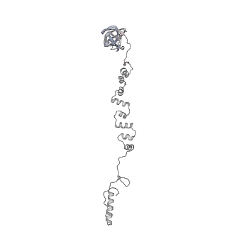 4677_6qyd_7i_v1-0
Cryo-EM structure of the head in mature bacteriophage phi29