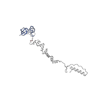 4677_6qyd_7k_v1-0
Cryo-EM structure of the head in mature bacteriophage phi29