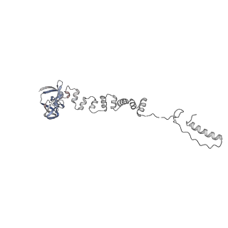 4677_6qyd_7l_v1-0
Cryo-EM structure of the head in mature bacteriophage phi29