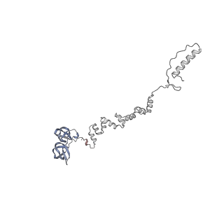 4677_6qyd_7p_v1-0
Cryo-EM structure of the head in mature bacteriophage phi29