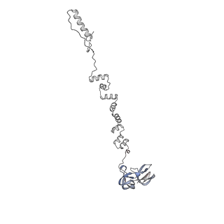 4677_6qyd_7t_v1-0
Cryo-EM structure of the head in mature bacteriophage phi29