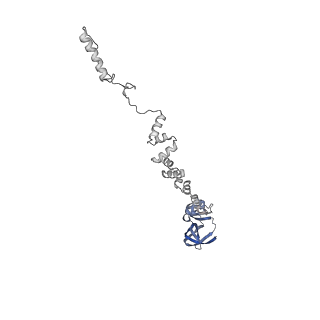 4677_6qyd_7w_v1-0
Cryo-EM structure of the head in mature bacteriophage phi29