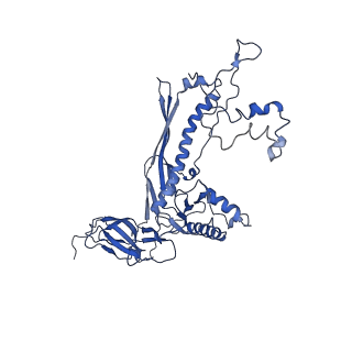 4677_6qyd_8C_v1-0
Cryo-EM structure of the head in mature bacteriophage phi29