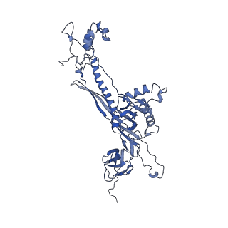 4677_6qyd_8D_v1-0
Cryo-EM structure of the head in mature bacteriophage phi29