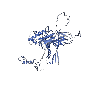 4677_6qyd_8F_v1-0
Cryo-EM structure of the head in mature bacteriophage phi29