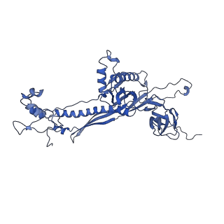 4677_6qyd_8J_v1-0
Cryo-EM structure of the head in mature bacteriophage phi29