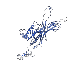 4677_6qyd_8K_v1-0
Cryo-EM structure of the head in mature bacteriophage phi29
