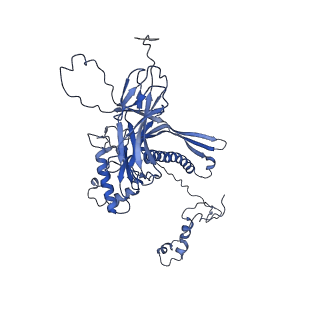 4677_6qyd_8L_v1-0
Cryo-EM structure of the head in mature bacteriophage phi29