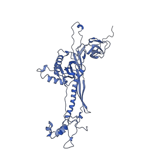 4677_6qyd_8P_v1-0
Cryo-EM structure of the head in mature bacteriophage phi29