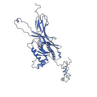 4677_6qyd_8Q_v1-0
Cryo-EM structure of the head in mature bacteriophage phi29
