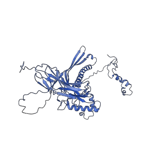 4677_6qyd_8R_v1-0
Cryo-EM structure of the head in mature bacteriophage phi29