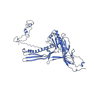 4677_6qyd_8S_v1-0
Cryo-EM structure of the head in mature bacteriophage phi29