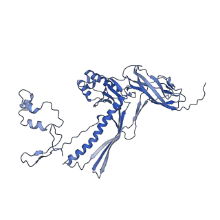4677_6qyd_8T_v1-0
Cryo-EM structure of the head in mature bacteriophage phi29