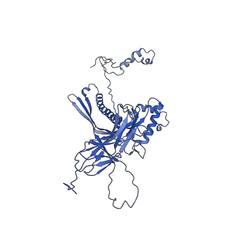 4677_6qyd_8X_v1-0
Cryo-EM structure of the head in mature bacteriophage phi29