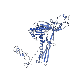 4677_6qyd_8Y_v1-0
Cryo-EM structure of the head in mature bacteriophage phi29