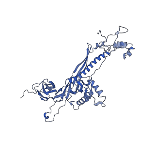 4677_6qyd_8b_v1-0
Cryo-EM structure of the head in mature bacteriophage phi29
