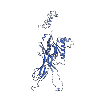 4677_6qyd_8c_v1-0
Cryo-EM structure of the head in mature bacteriophage phi29