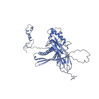 4677_6qyd_8d_v1-0
Cryo-EM structure of the head in mature bacteriophage phi29