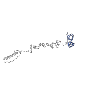 4677_6qyd_8f_v1-0
Cryo-EM structure of the head in mature bacteriophage phi29