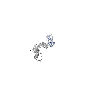 4677_6qyd_8k_v1-0
Cryo-EM structure of the head in mature bacteriophage phi29