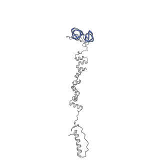 4677_6qyd_8l_v1-0
Cryo-EM structure of the head in mature bacteriophage phi29