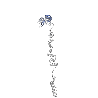 4677_6qyd_8p_v1-0
Cryo-EM structure of the head in mature bacteriophage phi29