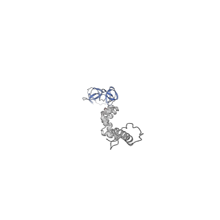 4677_6qyd_8q_v1-0
Cryo-EM structure of the head in mature bacteriophage phi29