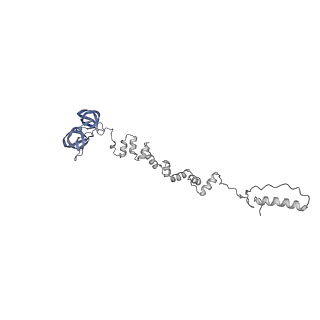 4677_6qyd_8r_v1-0
Cryo-EM structure of the head in mature bacteriophage phi29