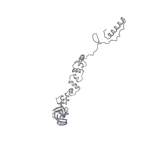4677_6qyd_8t_v1-0
Cryo-EM structure of the head in mature bacteriophage phi29