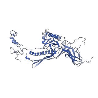 4677_6qyd_9C_v1-0
Cryo-EM structure of the head in mature bacteriophage phi29