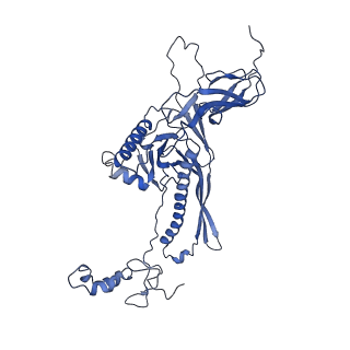 4677_6qyd_9D_v1-0
Cryo-EM structure of the head in mature bacteriophage phi29