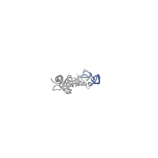4677_6qyd_9F_v1-0
Cryo-EM structure of the head in mature bacteriophage phi29