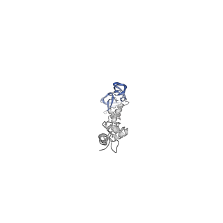 4677_6qyd_9G_v1-0
Cryo-EM structure of the head in mature bacteriophage phi29