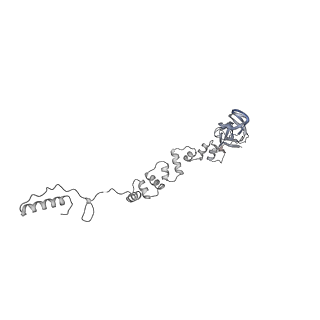 4677_6qyd_9P_v1-0
Cryo-EM structure of the head in mature bacteriophage phi29