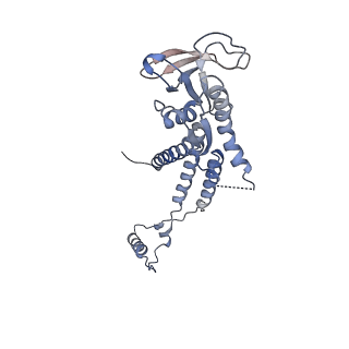 4678_6qyj_0b_v1-1
The cryo-EM structure of the connector of the mature bacteriophage phi29